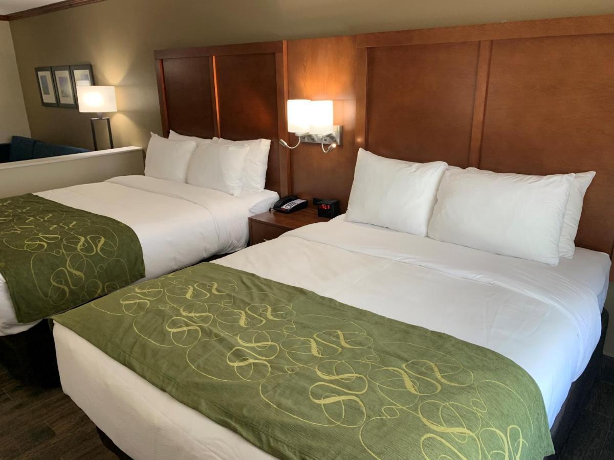 Comfort Suites West Monroe Near Ike Hamilton Expo Center エクステリア 写真