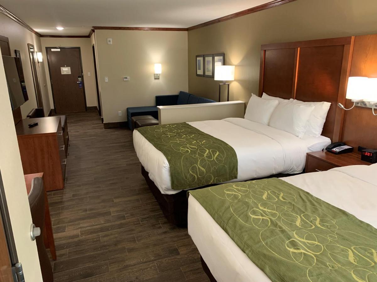 Comfort Suites West Monroe Near Ike Hamilton Expo Center エクステリア 写真