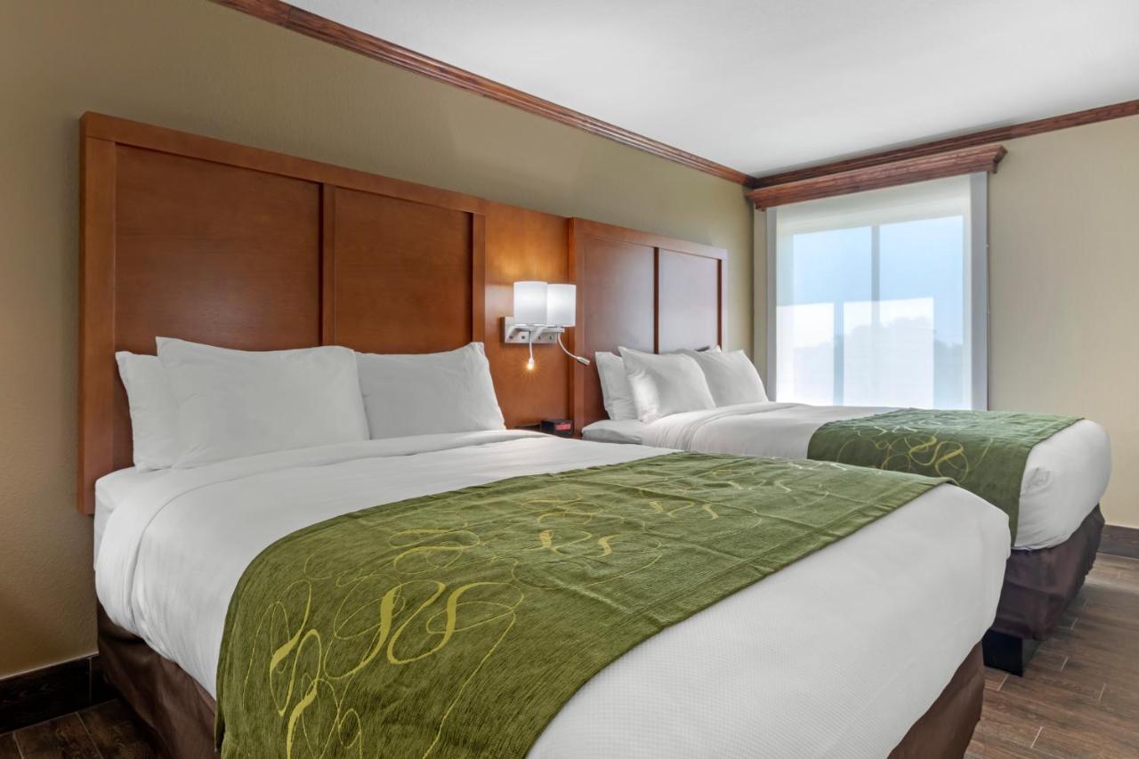 Comfort Suites West Monroe Near Ike Hamilton Expo Center エクステリア 写真