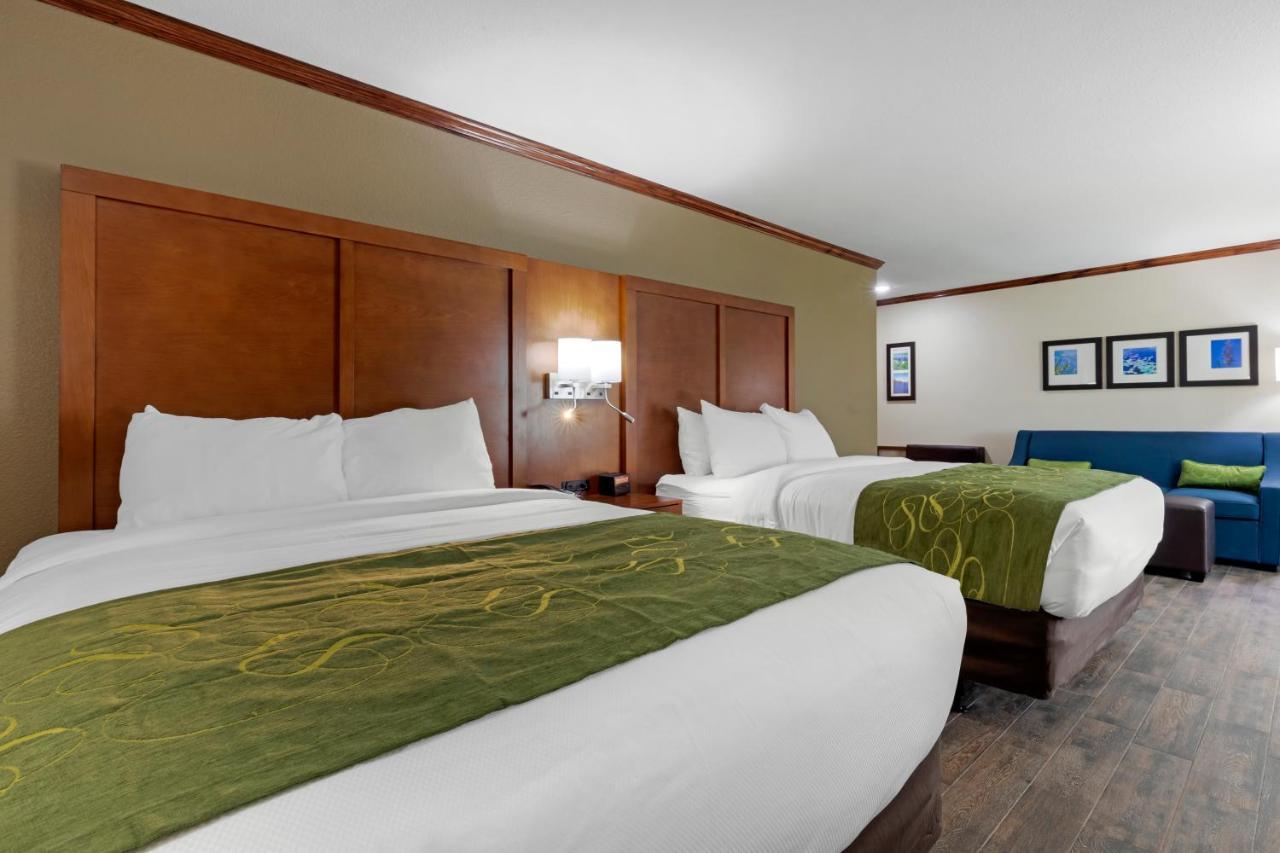 Comfort Suites West Monroe Near Ike Hamilton Expo Center エクステリア 写真