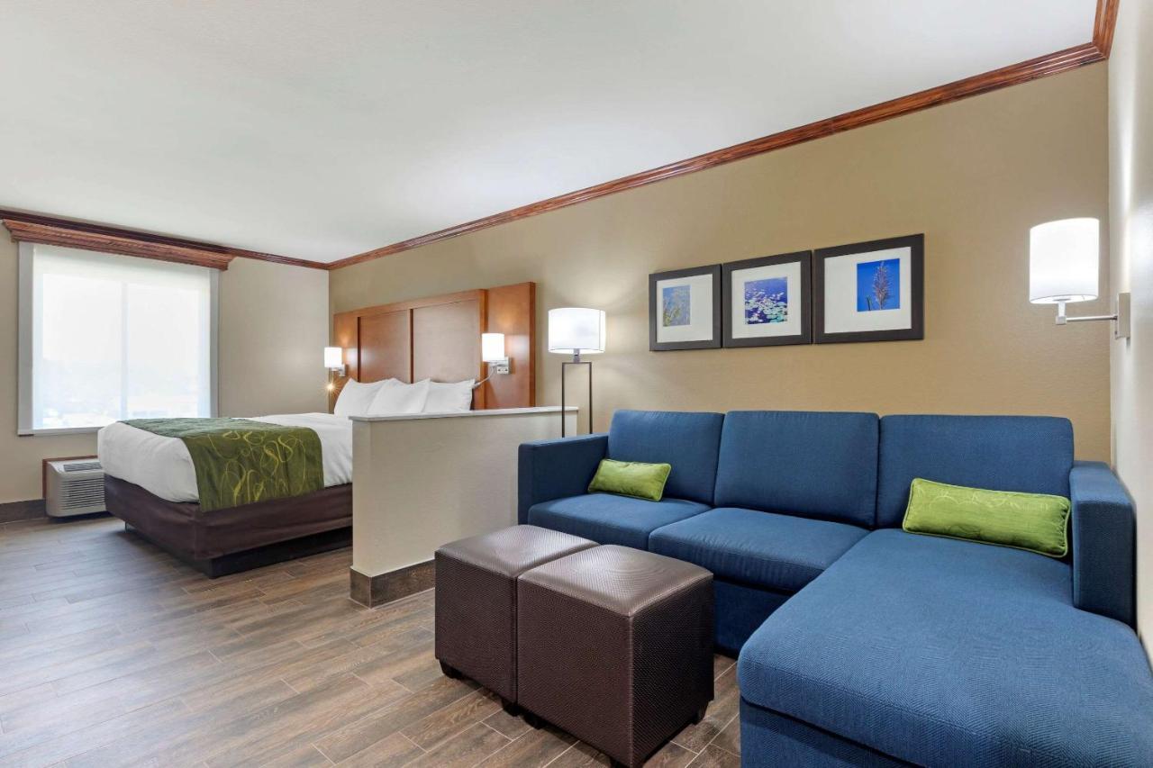 Comfort Suites West Monroe Near Ike Hamilton Expo Center エクステリア 写真